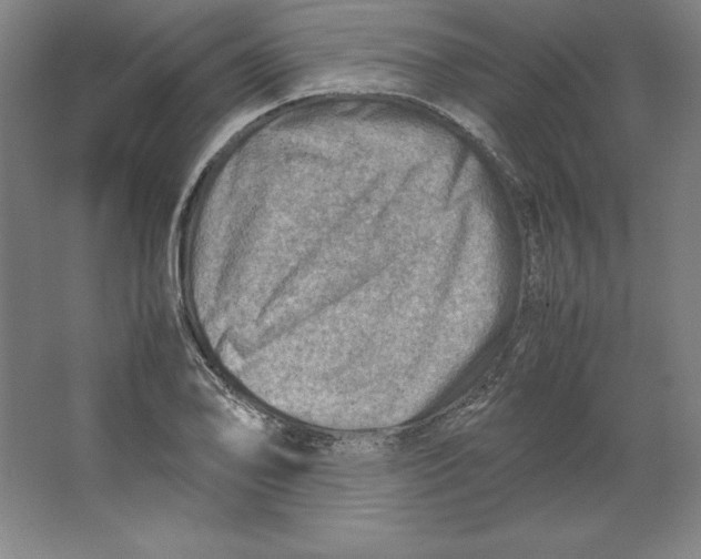 X0000062131078200512301455