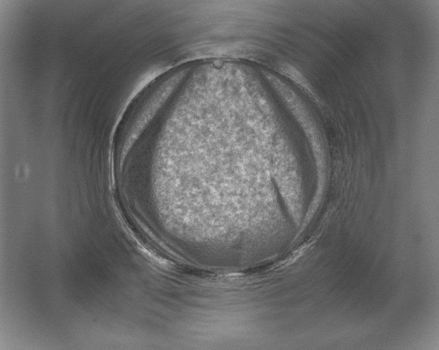 X0000062131079200512301455