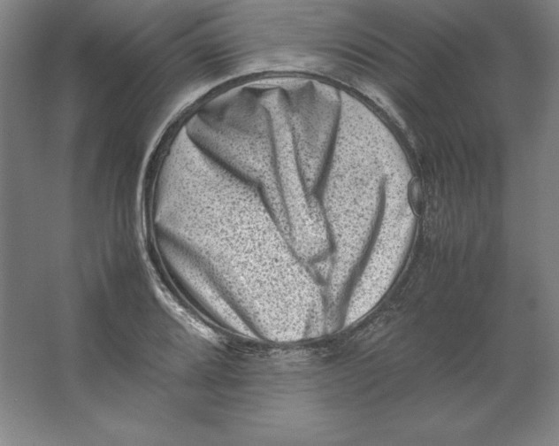 X0000062131080200512301455