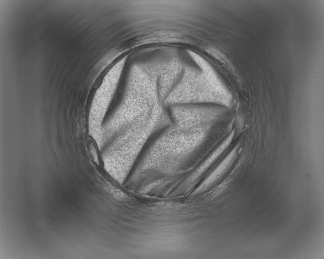 X0000062131081200512301455