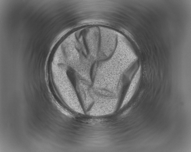 X0000062131082200512301455