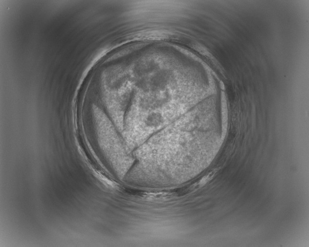 X0000062131083200512301455