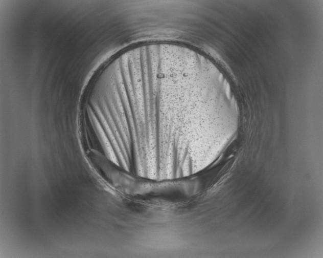 X0000062131085200512301455