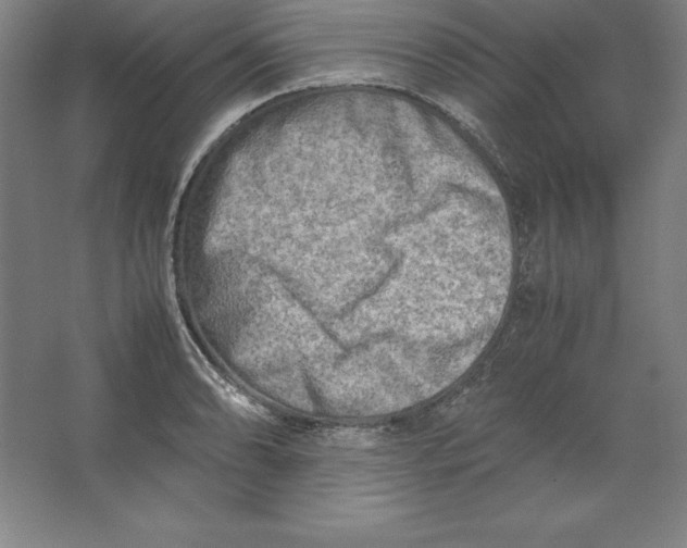 X0000062131086200512301455