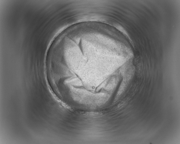 X0000062131088200512301455