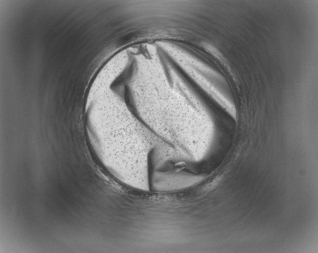 X0000062131089200512301455