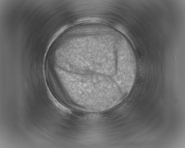 X0000062131090200512301455