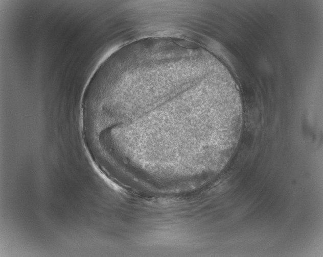 X0000062131095200512301455