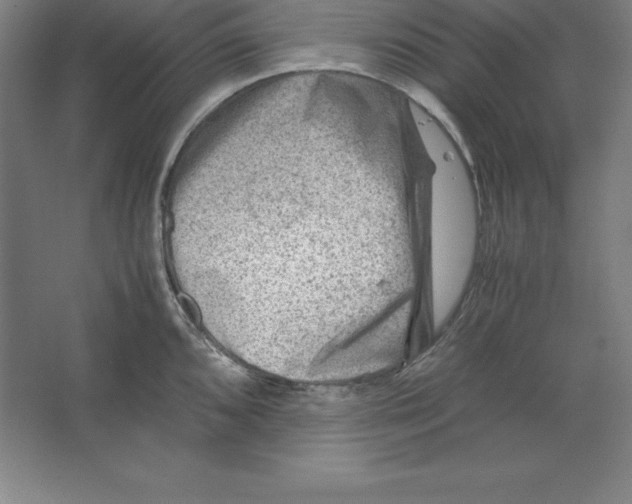 X0000062131096200512301455