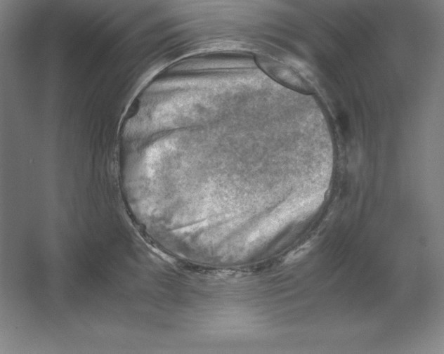 X0000062131097200512301455