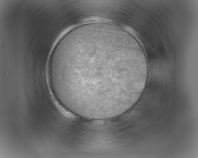 X0000062131098200512301455