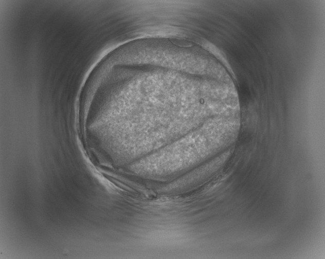 X0000062131099200512301455