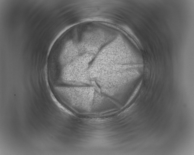 X0000062131100200512301455