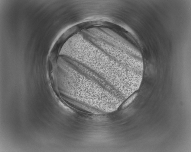 X0000062131102200512301455