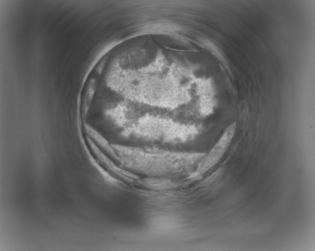 X0000062131103200512301455