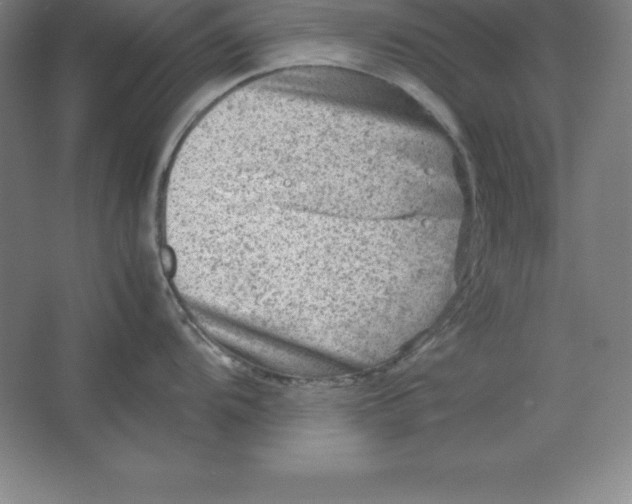 X0000062131104200512301455