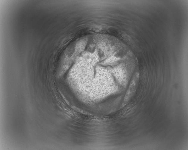 X0000062131105200512301454