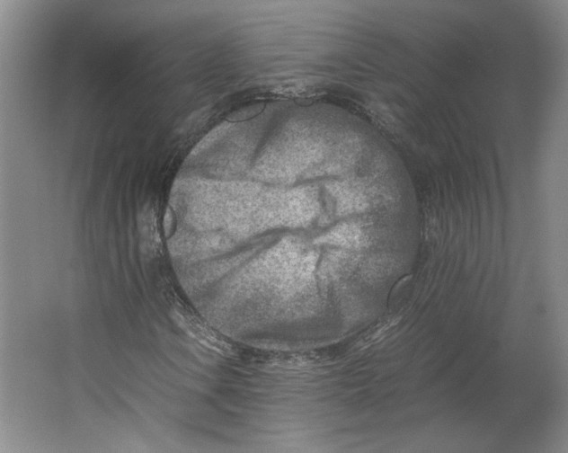 X0000062131106200512301454