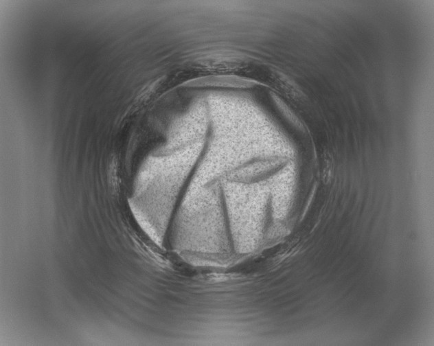 X0000062131108200512301454