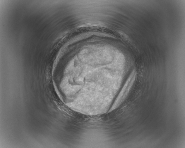 X0000062131110200512301454