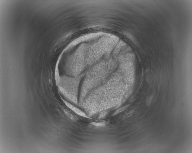 X0000062131111200512301454