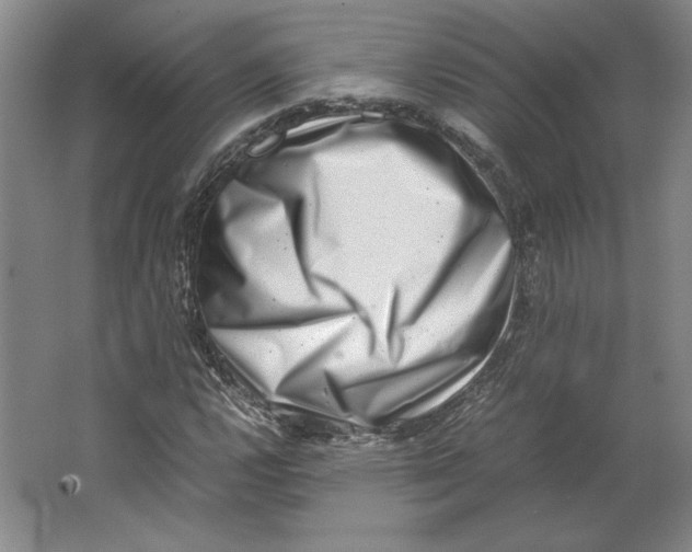 X0000062131112200512301454