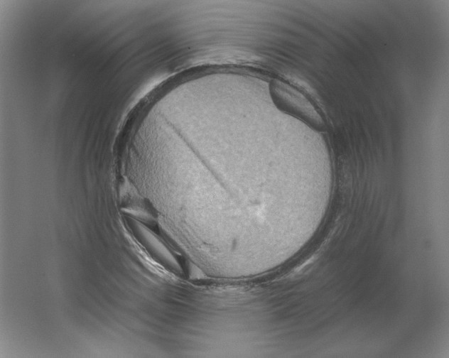 X0000062131114200512301454