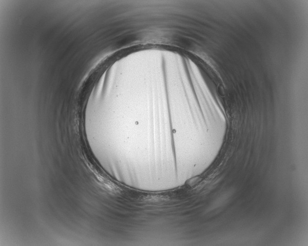 X0000062131115200512301454