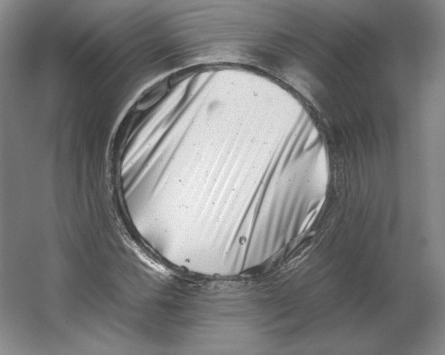 X0000062131116200512301454