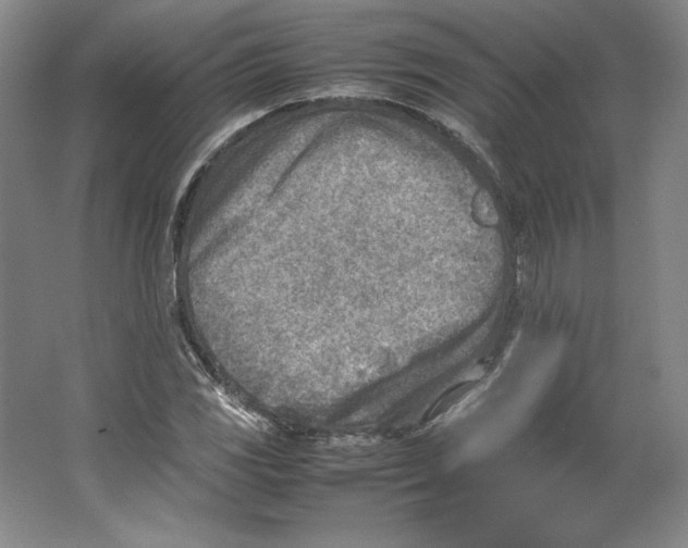 X0000062131117200512301454