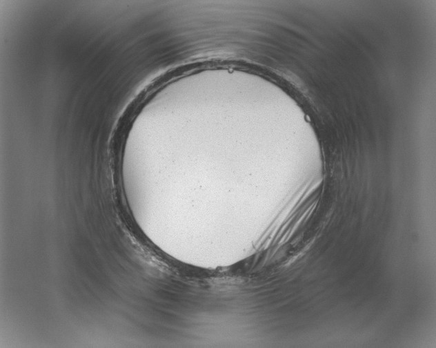 X0000062131118200512301454