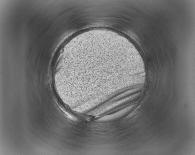 X0000062131119200512301454