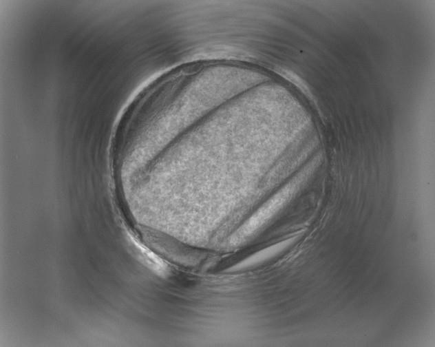 X0000062131120200512301454