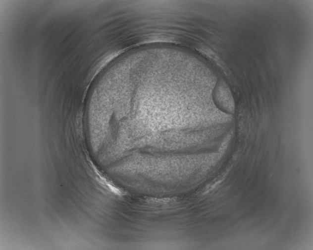 X0000062131121200512301454