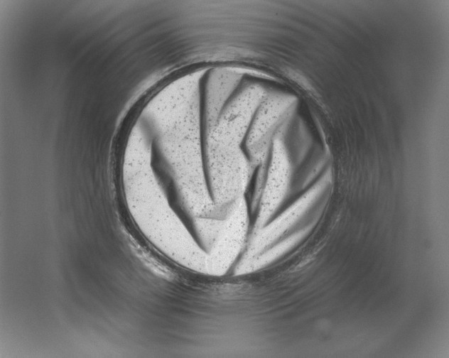 X0000062131122200512301454