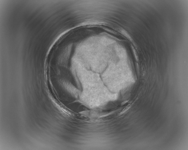 X0000062131124200512301454