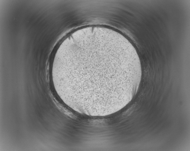 X0000062131126200512301454