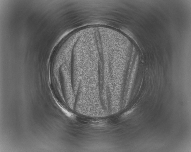 X0000062131127200512301454