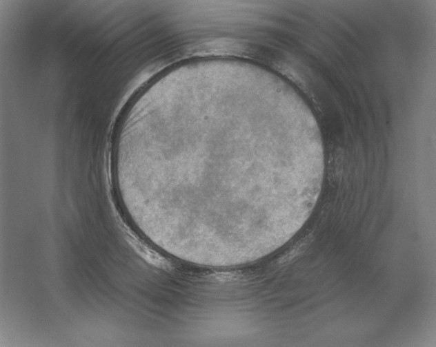 X0000062131130200512301454