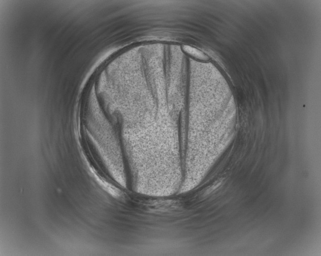 X0000062131131200512301454