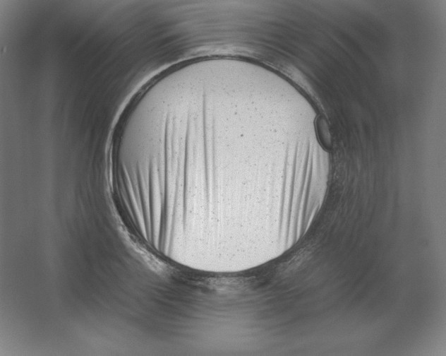 X0000062131132200512301454