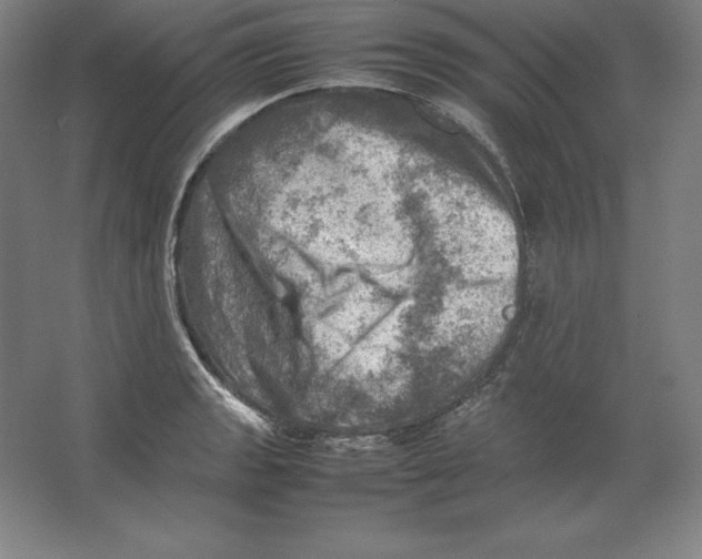 X0000062131133200512301454