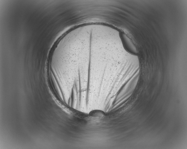 X0000062131134200512301454