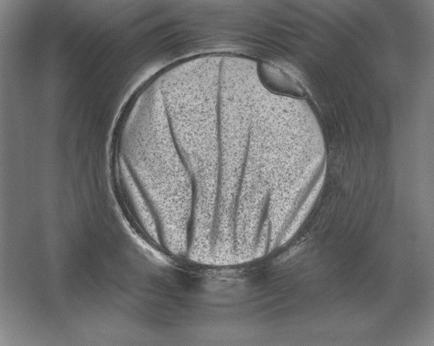 X0000062131135200512301454