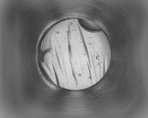 X0000062131136200512301454