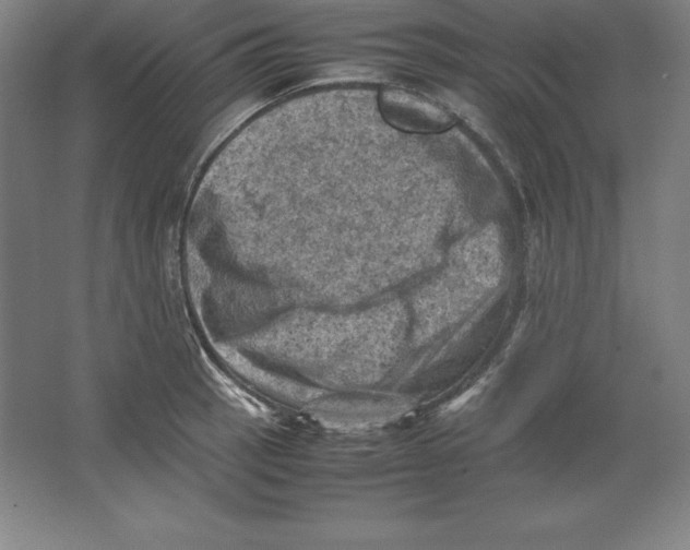 X0000062131137200512301454