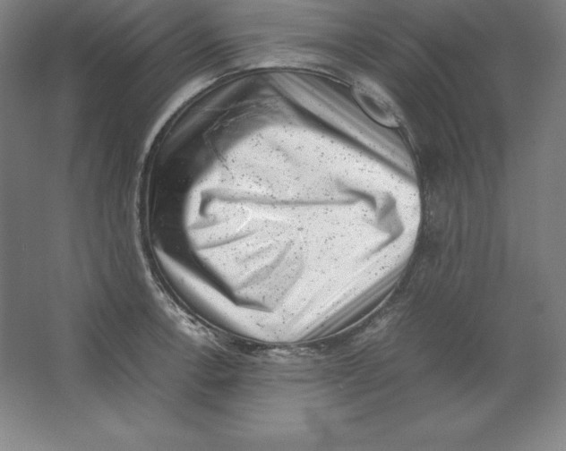 X0000062131138200512301454