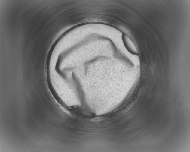 X0000062131141200512301454