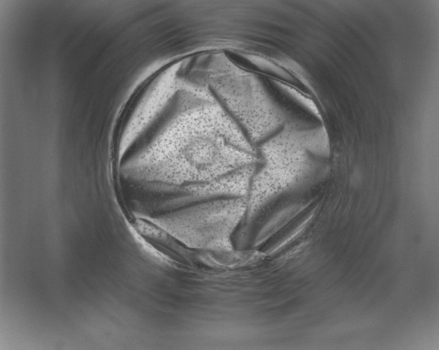 X0000062131143200512301455