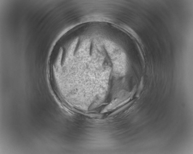 X0000062131144200512301455